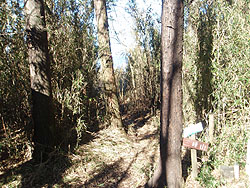 �O��R�R��