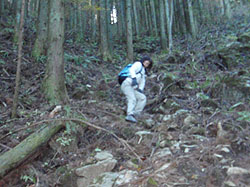 �X�΂����������