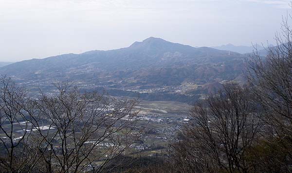 �͓��_�Ђ���̒���