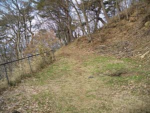 �͓��_�Ђ���̓o�R���B