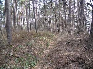 �O��R(�Ǖ��)����̓o�R���B