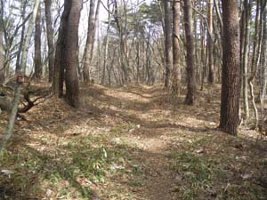 ���т̓o�R���������B