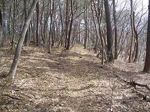 ���򂩂�̓o�R���`