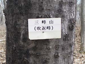 �O��R(���ԕ�)�̖���