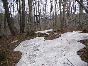 �c�Ⴊ���ꂽ�`�`