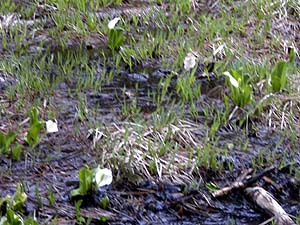 �~�Y�o�V���E