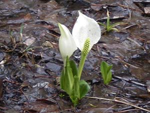 �~�Y�o�V���E