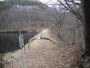 ���R�ĊJ�`