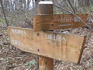 �p���O���C�_�[�̗�����ւ̕���