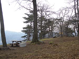 �p���O���C�_�[�̗�����