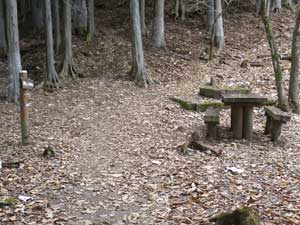 ��1��������̓���i�ށ`