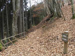 2�ڂ̃x���`����̓o�R���B