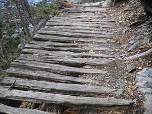 ��������ł�Ȃ��`�`