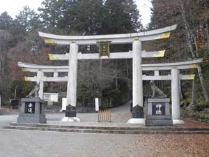 �O�c����