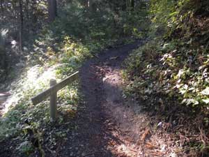 �֓��ӂꂠ���̓�(���ԓ�)