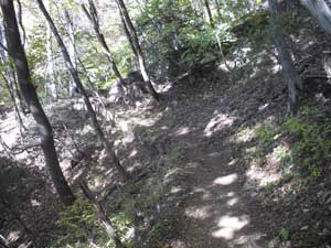 ��1��������̓���i�ށ`