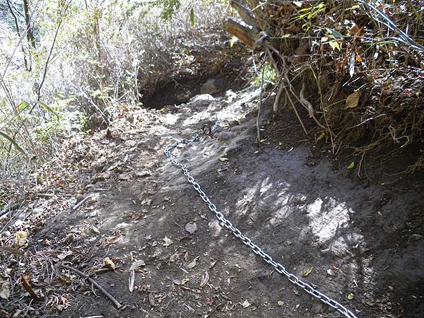 �N�T����