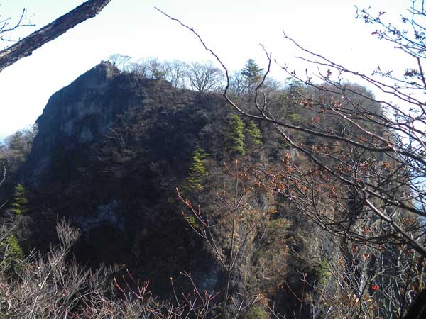 �������猩���A�V���B�B