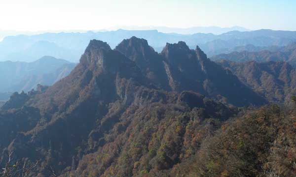 �R������̒���