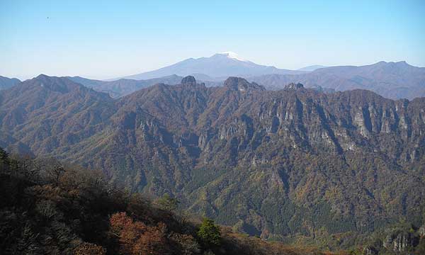 �V��₩��̒���