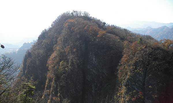 �V��₩��̒���