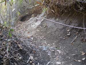 �N�T����