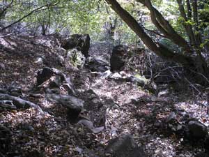 �}�Ȋ��̓�������