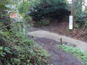 �ȈՕܑ��̓�