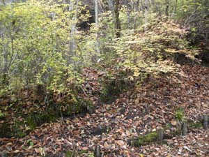 �o�R���͒��Ԓn�̓��H��Ζ�