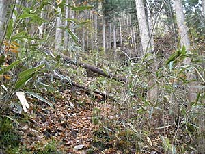 3���т�i�ށB