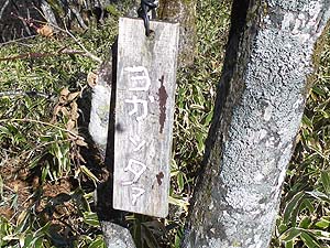 ���K�b�^�@