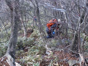 �}�΂�����Ȃ��`