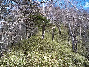 �X�ɐ悪������