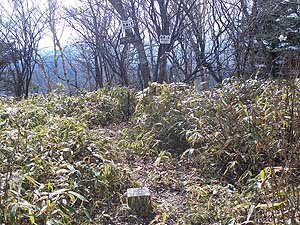 ���_���x �R��(1595m)