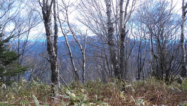 山頂からの眺め