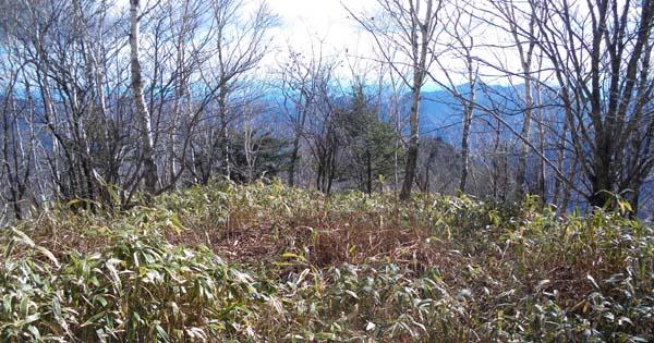 山頂からの眺め