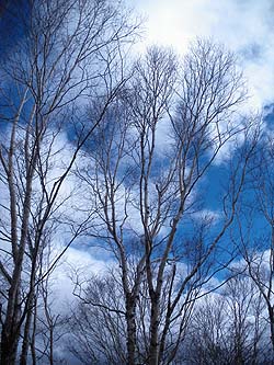 �R������̒���