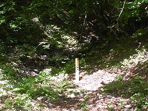 �����H�̈ē�