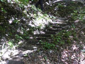 �E�̏����H�K�i��i��