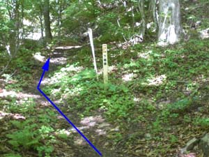 �����H�̈ē�