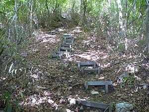 �����H��i�ށB