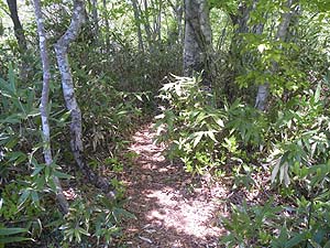 ���R�J�n�`