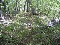 �y���ɉ������`�`