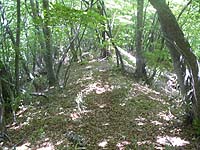 �y���ɉ������`�`