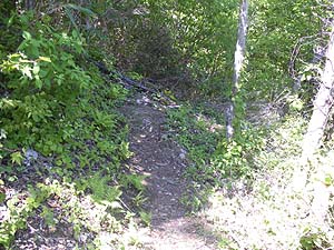 114���S������̏����H�B