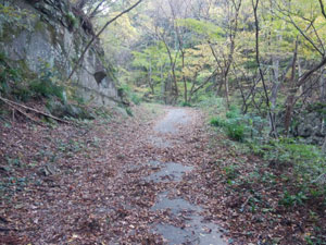 ���򂩂�̗ѓ�