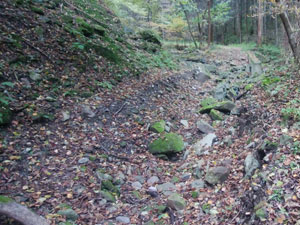 �W������̗ѓ��B