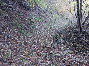 �W������̗ѓ��B