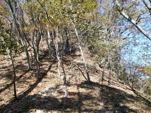 �R�����琼��ւ̓o�R��