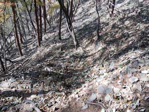 �}�΁��K����